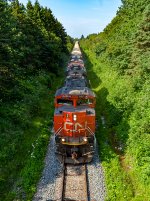 8891 leads CN 403 at Tobin